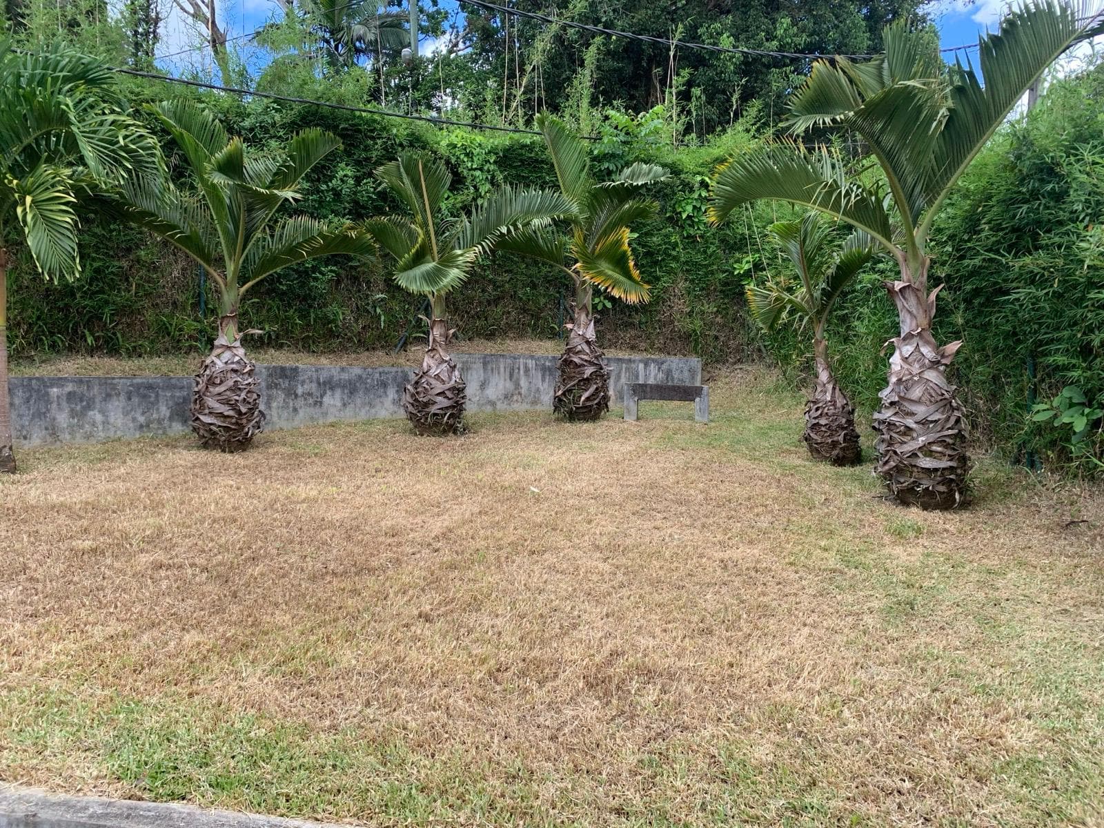 Property Image - Garden - 1