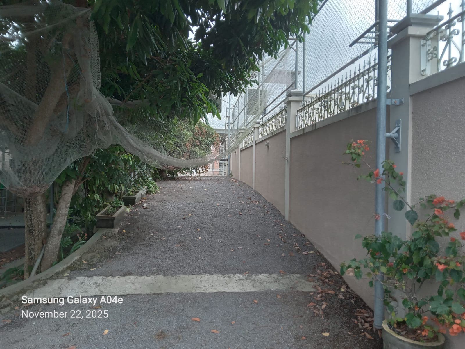 Property Image - Garden - 9