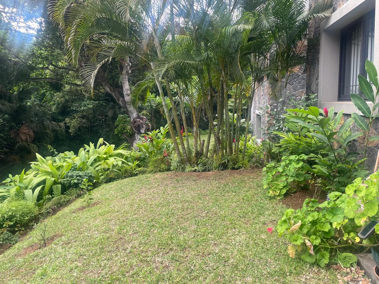 Property Image - Garden - 3